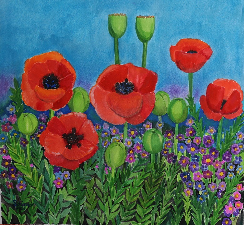 Mohnblumen